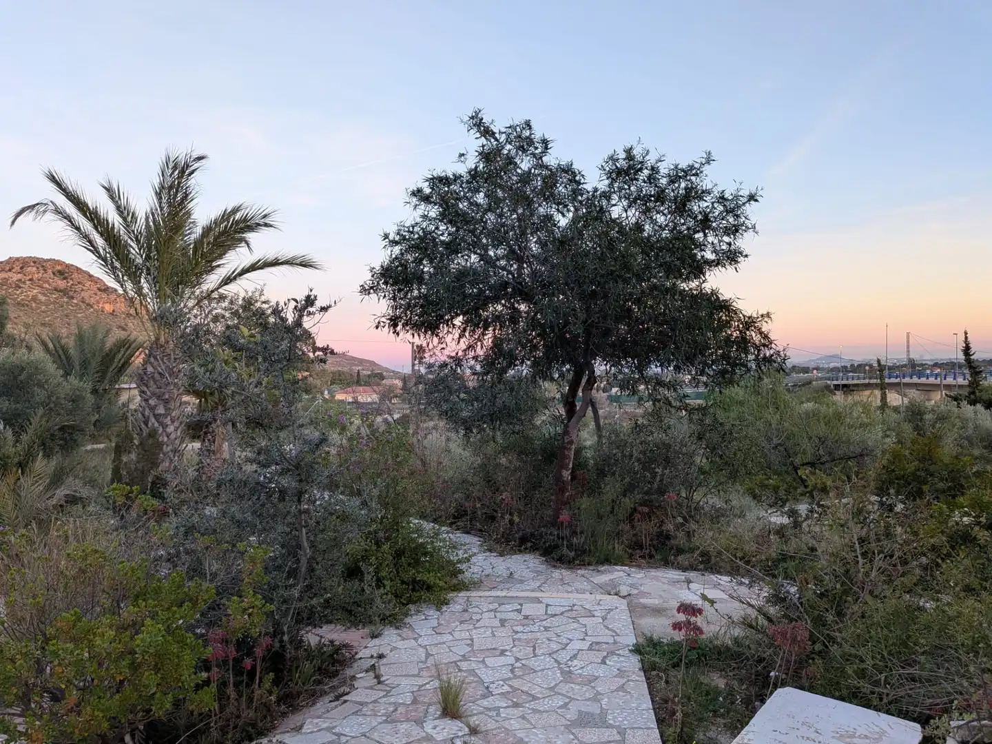 Jardí de Casa o xalet de lloguer en San Vicente del Raspeig / Sant Vicent del Raspeig amb Jardí privat, Terrassa i Traster