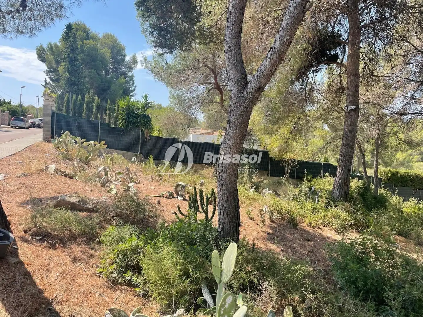 Terrenys i solars en venda a El Catllar