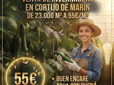 Terreno rustico in vendita a Avenida Cortijos de Marín 9