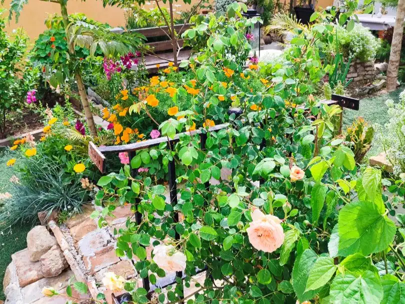 Jardí de Casa o xalet en venda en Jerez de la Frontera amb Aire condicionat, Calefacció i Jardí privat