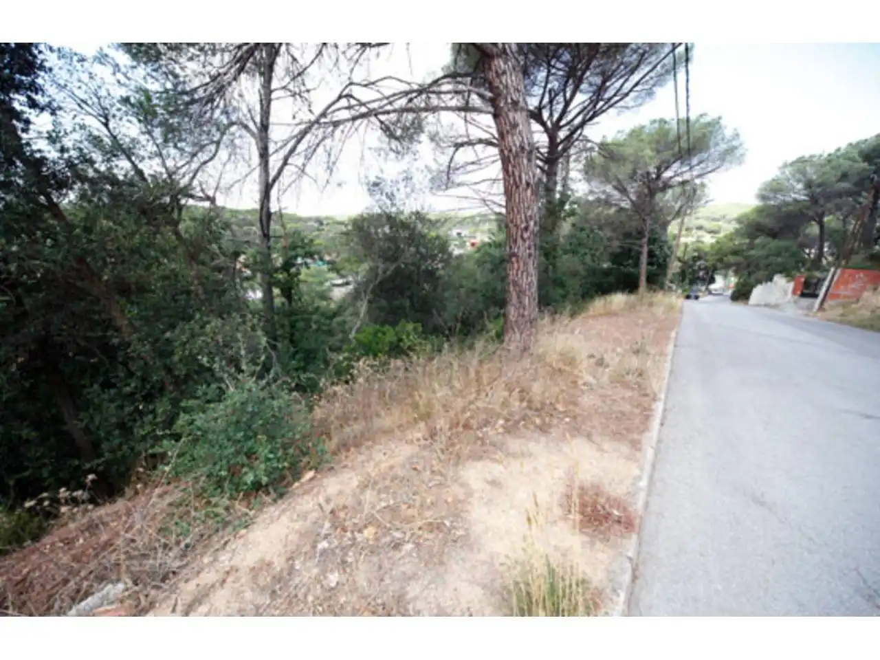 Rural land for sale in JUNTA DE COMPESACION, imagen 3