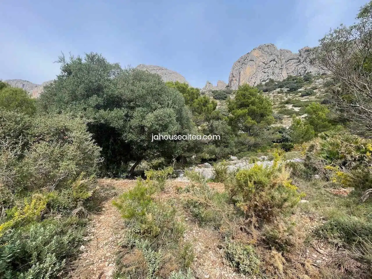 Grundstücke und Bauplätze zum Verkauf in Altea la Vella, imagen 3