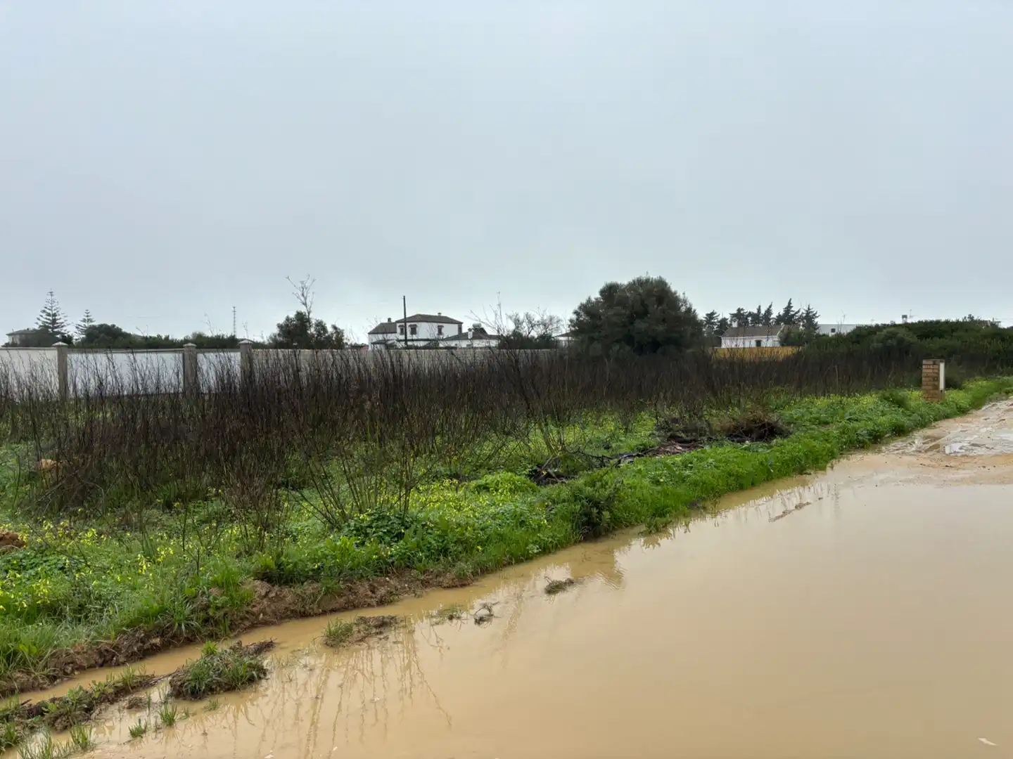 Terreni e lotti in vendita a Carril los Panzitas 37, imagen 10