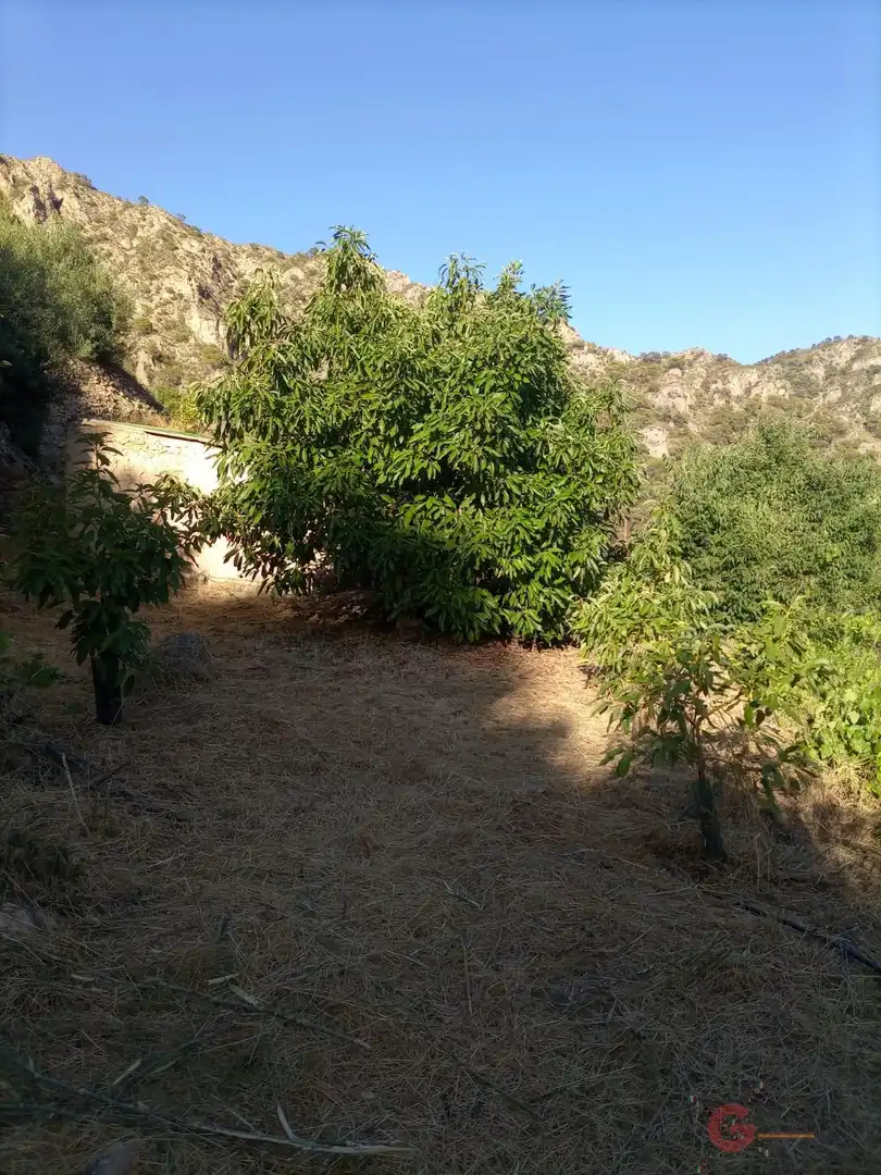 Terrenys i solars en venda a Los Guájares, imagen 4