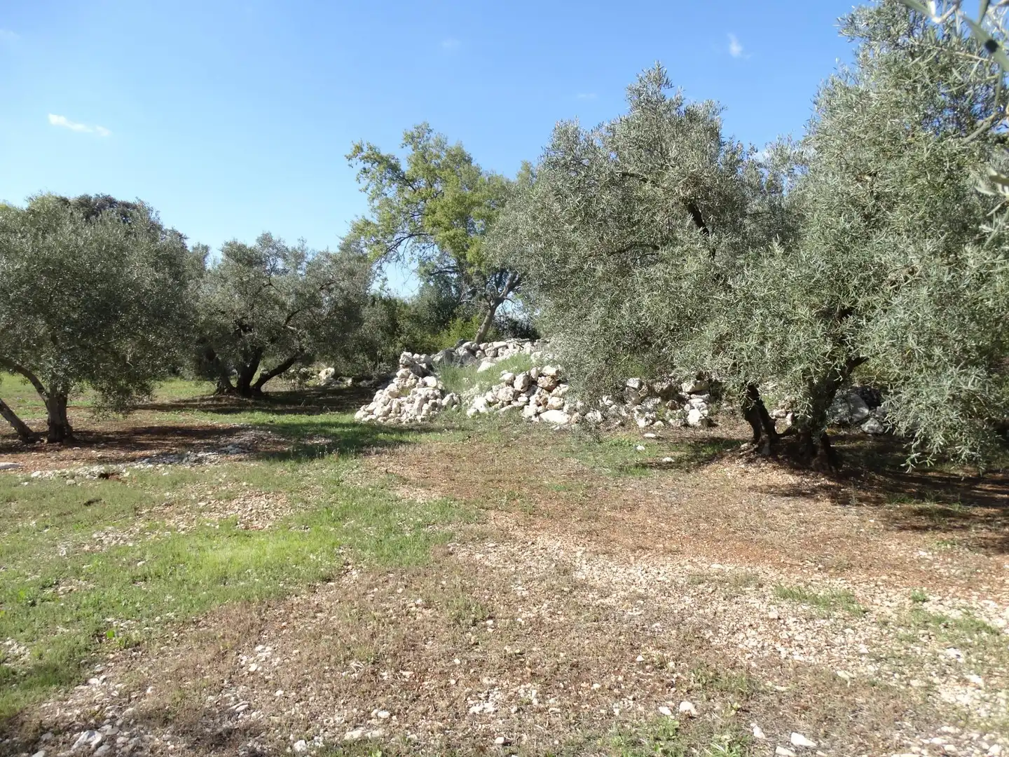 Rustikales Grundstück zum Verkauf in Villanueva del Rosario, imagen 7