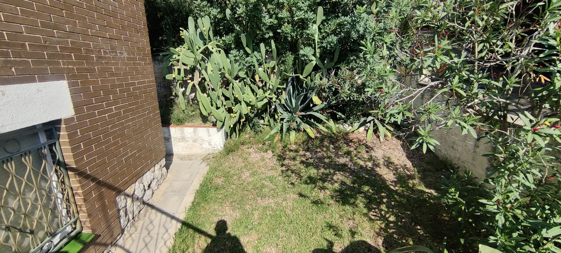 Casa o chalet en venta en Bellamar