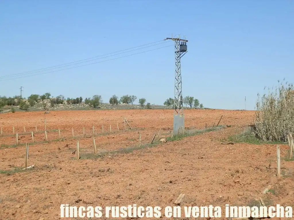 Rural land for sale in Valdepeñas, imagen 26