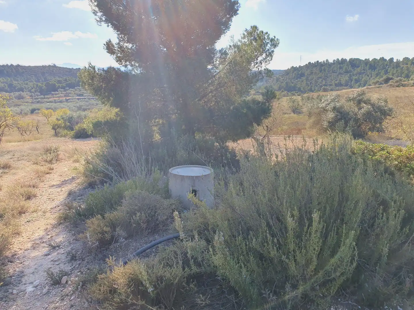 Maison à vendre à El Pinell de Brai, imagen 6