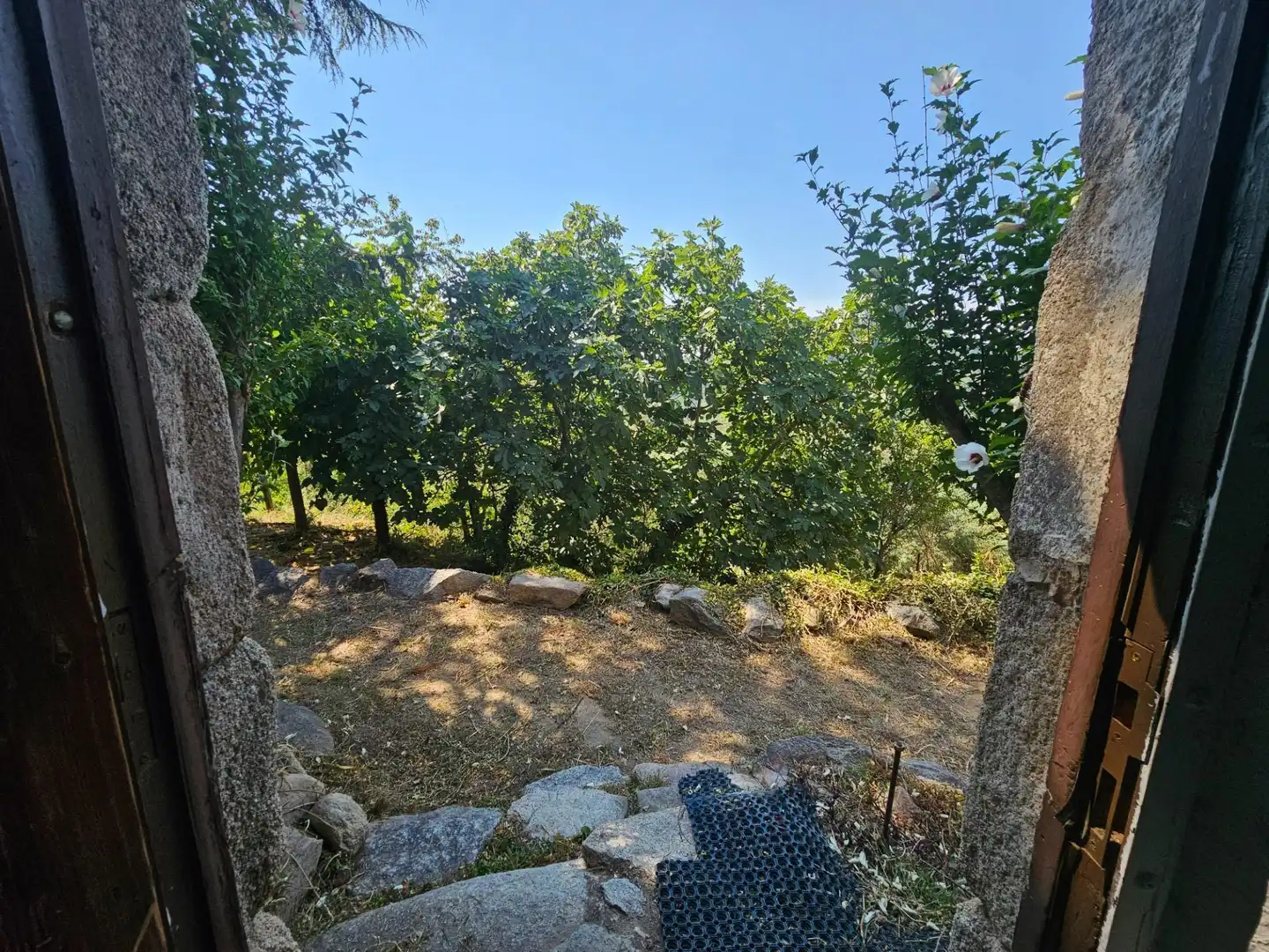 Finca rústica en venda en Riells i Viabrea amb Jardí privat i Traster