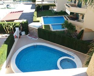 Swimming pool of Apartment for sale in Guardamar de la Safor  with Air Conditioner and Balcony