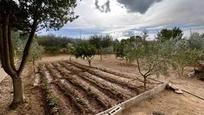 Jardí de Finca rústica en venda en Calvià