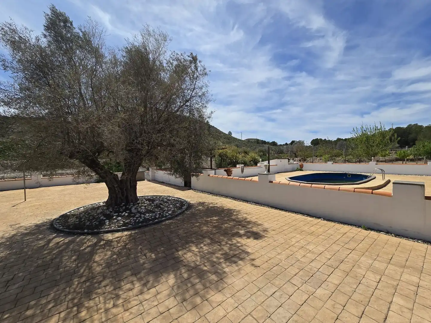 Chalet en venta en Sax, imagen 33