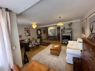 Wohnzimmer von Wohnung zum Verkauf in León Capital  mit Heizung, Parkett und Terrasse