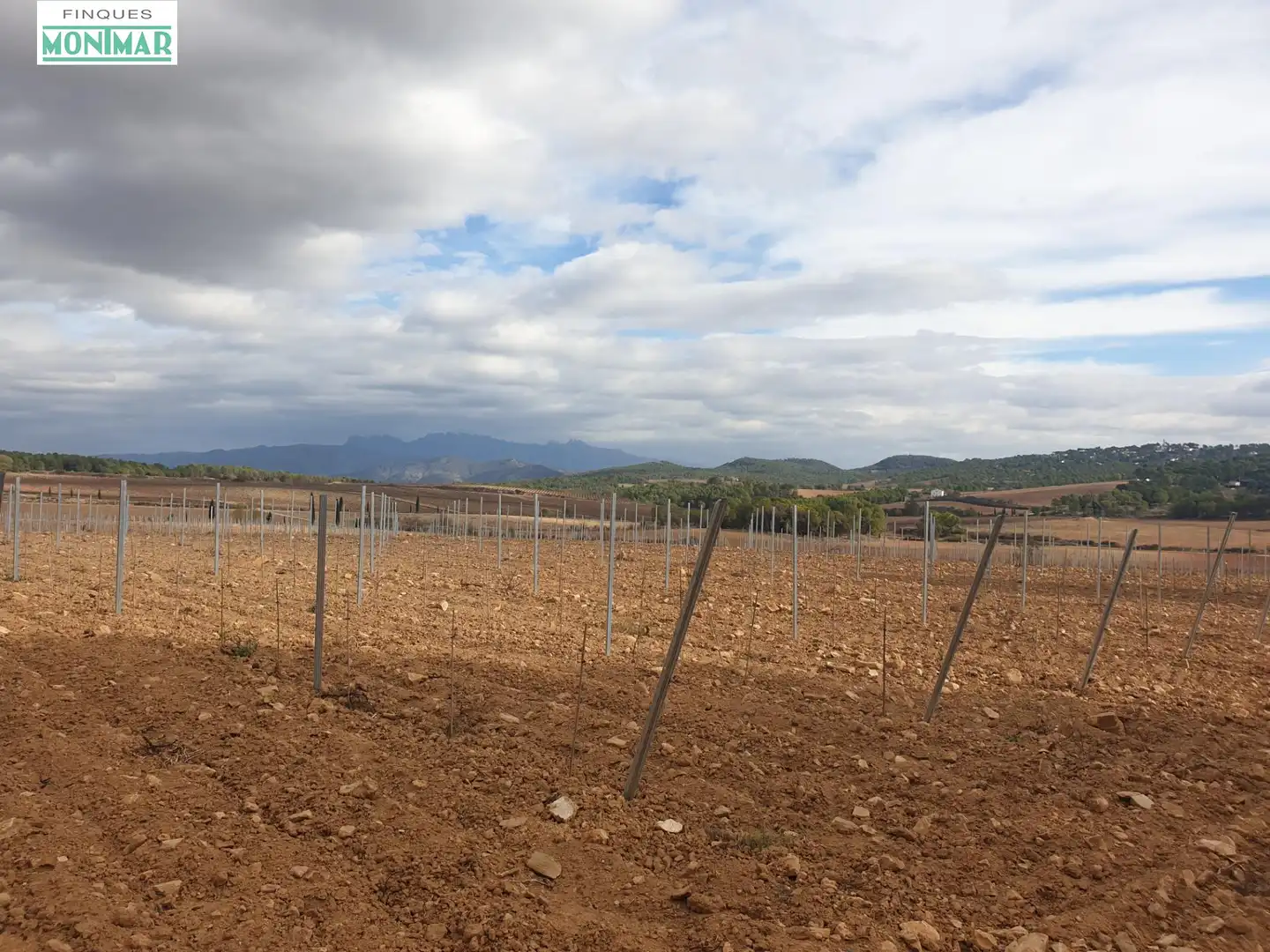 Finca rústica en venda en Vilafranca del Penedès