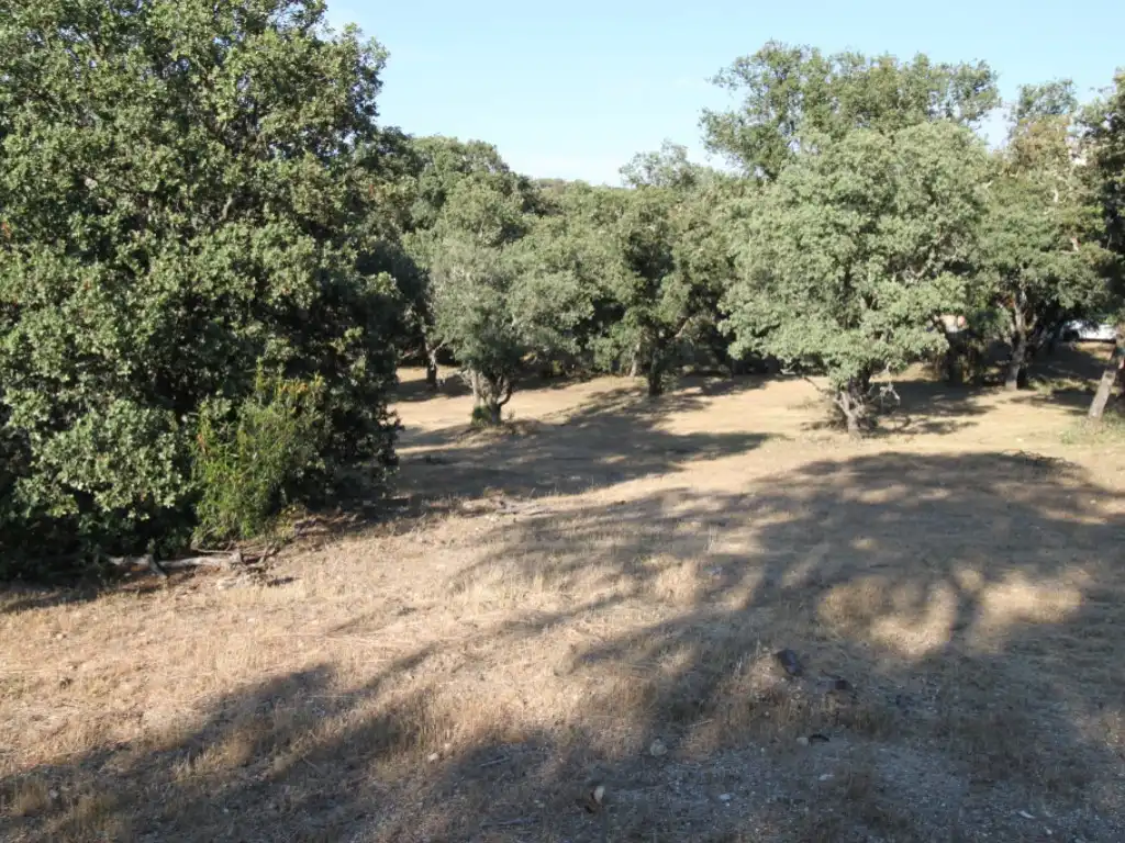 Residential land for sale in Ciudalcampo, imagen 4