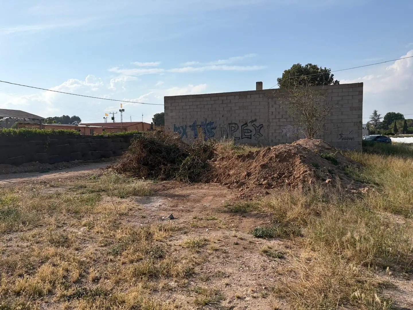 Rural land for sale in Las Tiesas, imagen 4