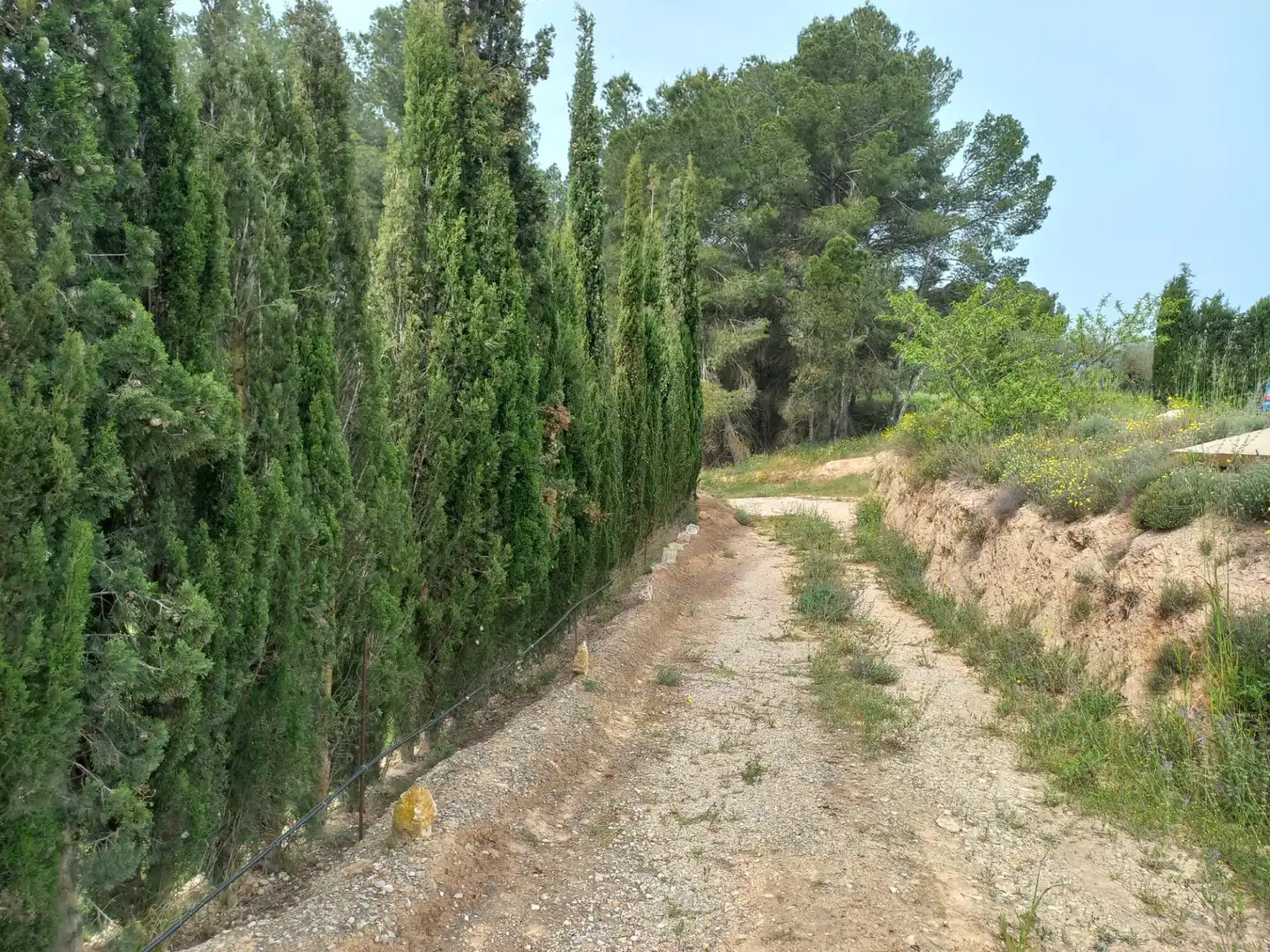 Rural land for sale in Ginestar, imagen 28
