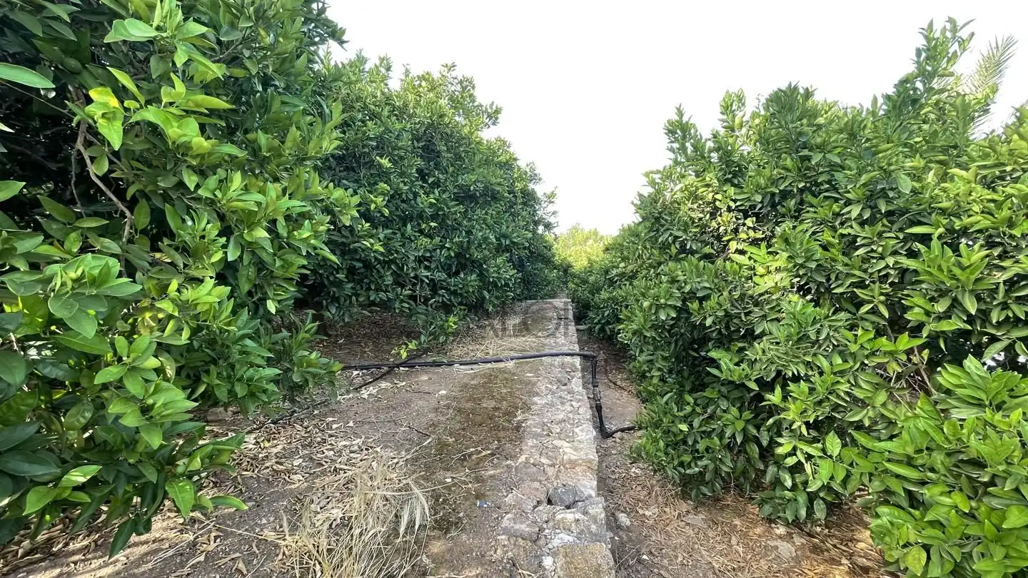 Finca rústica en venta en Carcaixent con Jardín privado, Terraza y Trastero