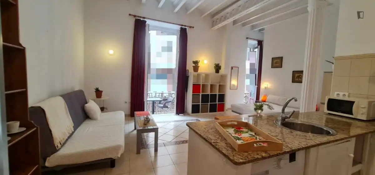 Estudio de alquiler en El Raval