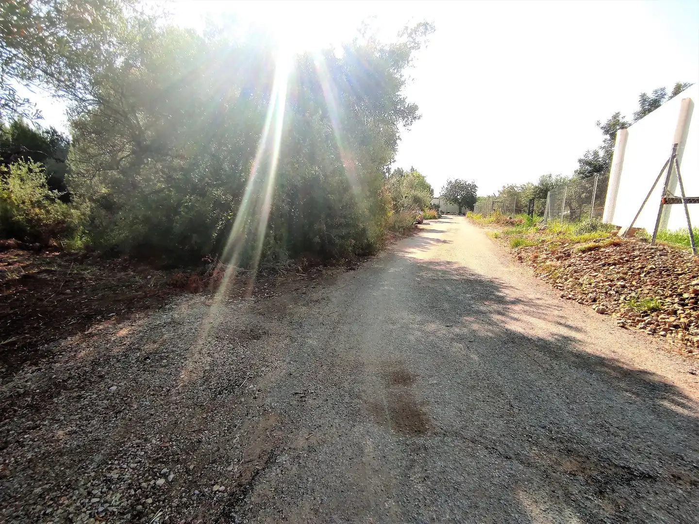 Rural land for sale in Alcanar, imagen 11