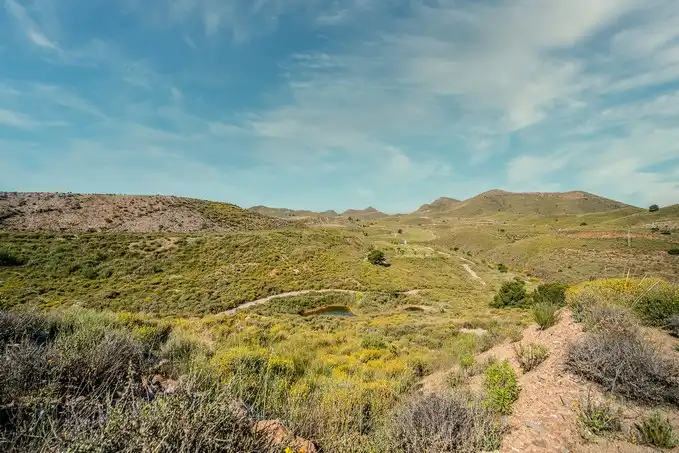 Terreno en venta en Lorca