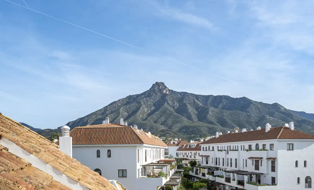Penthouse with terrace for sale in Milla de Oro, imagen 7