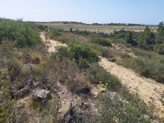 Finca rústica en Venta en gramenals en Castelldans