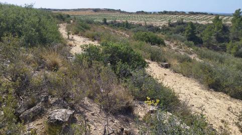 Photo 4 of Country house for sale in Gramenals, Castelldans, Lleida