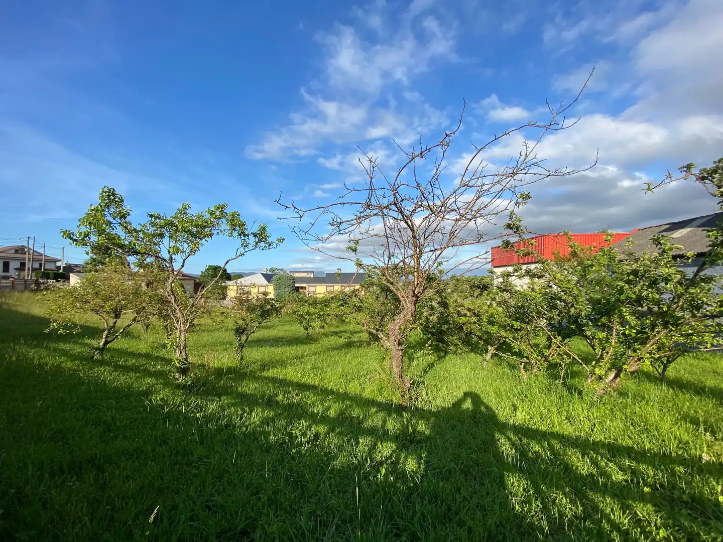 Residential land for sale in Viella - Granda - Meres, imagen 7