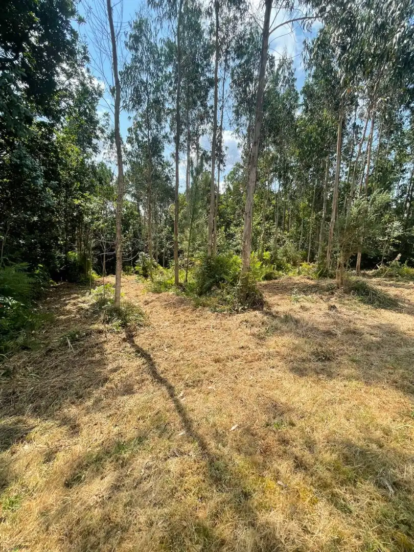 Casa amb jardí en venda a Parroquias rurales, imagen 21