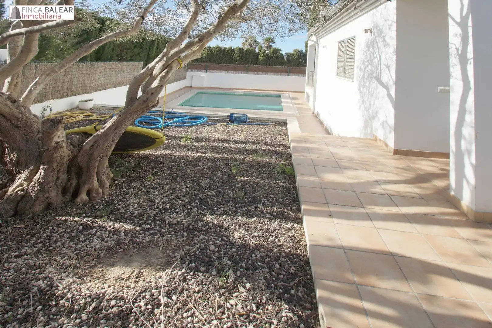 Piscina de Casa o xalet en venda en Alcúdia amb Aire condicionat, Jardí privat i Piscina