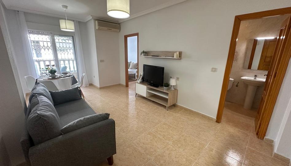 Photo 1 of Apartment to rent in Avenida Diego Ramirez Pastor, Avenida Habaneras - Curva de Palangre, Alicante