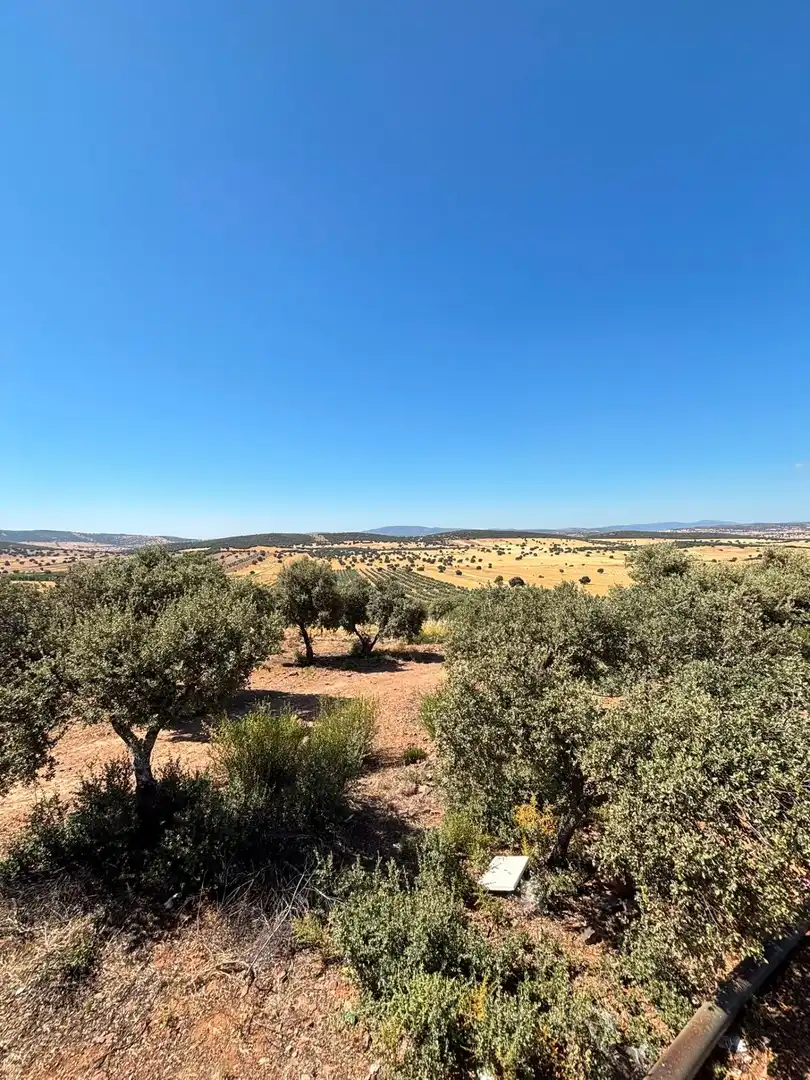 Casa amb jardí en venda a Torre de Juan Abad, imagen 67
