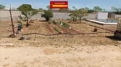 Foto 3 de Finca rústica en venda a Oromana, Alcalá de Guadaira
