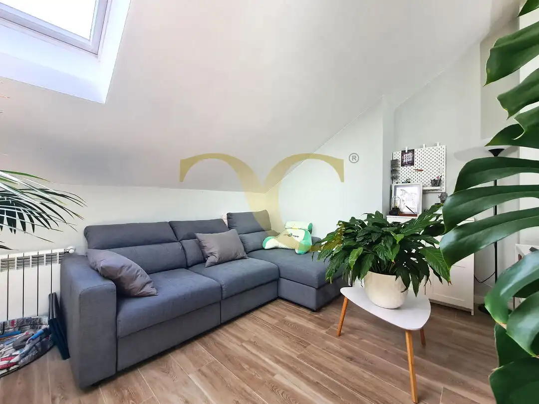 Detached house with garden for sale in Camino de la Belga, imagen 47