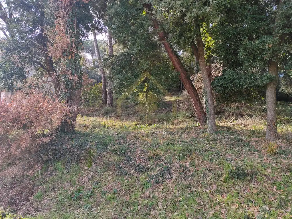 Residential for rent in Sant Pere de Vilamajor