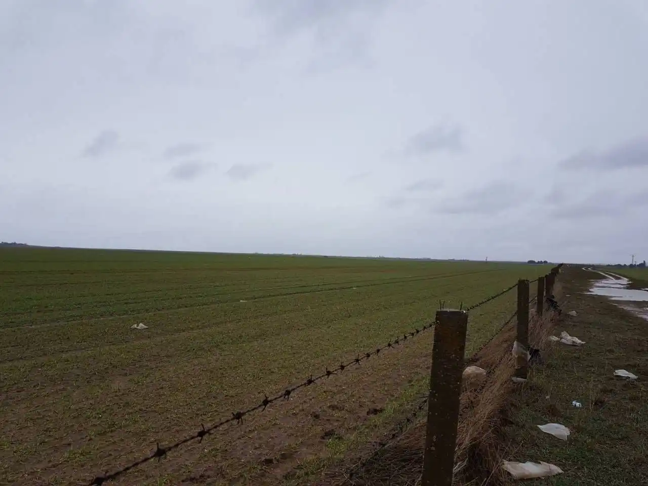 Residential land for sale in Robleda-Cervantes