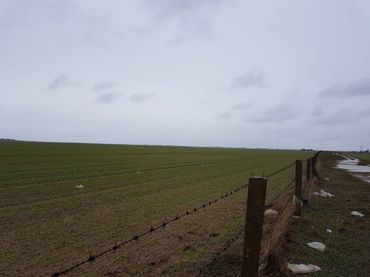 Terreno residencial en venta en Robleda-Cervantes
