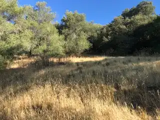 Terreni e lotti in vendita a Cortegana, imagen 25
