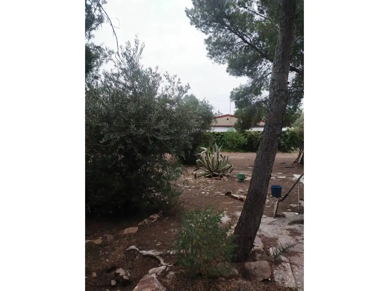 Finca rústica en venda en Siles amb Jardí privat, Terrassa i Moblat