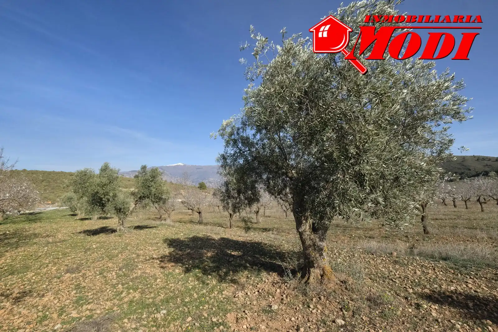 Terreni e lotti in vendita a El Valle, imagen 22