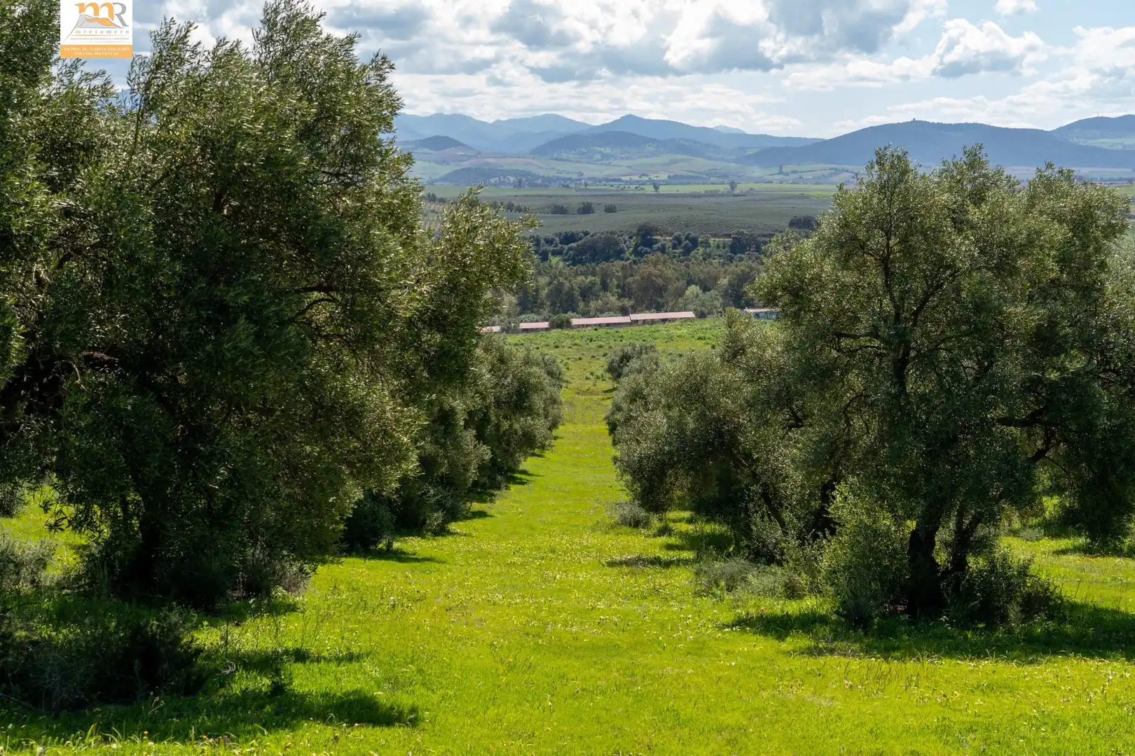 Finca rústica en venta en Prado del Rey