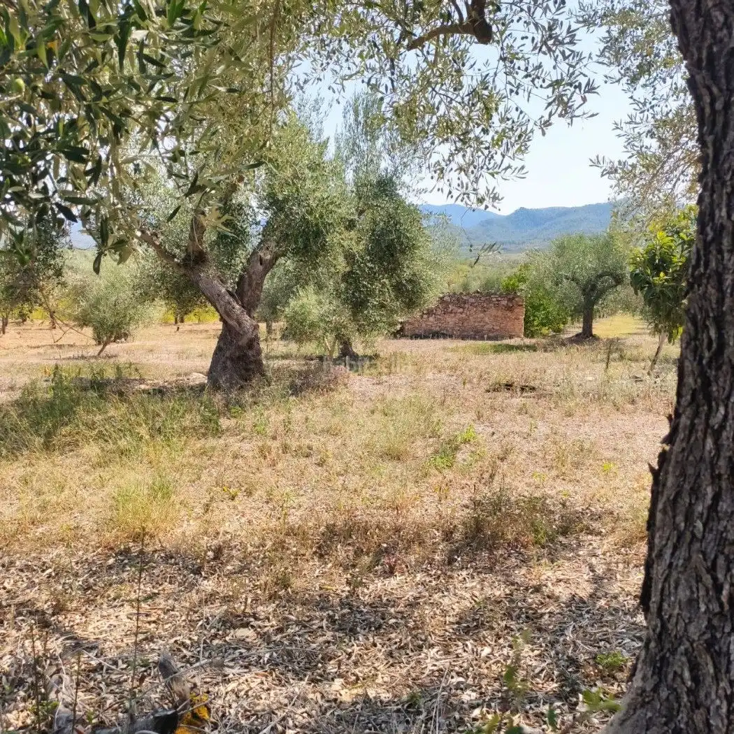 Rural land for sale in Carrer de la Muntanya 1, imagen 9