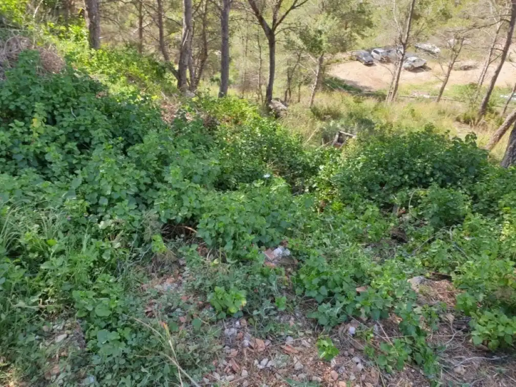 Rural land for sale in CL PIRINEUS, imagen 5
