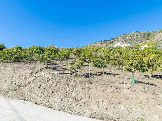 Terreni e lotti in vendita a Cómpeta, imagen 2