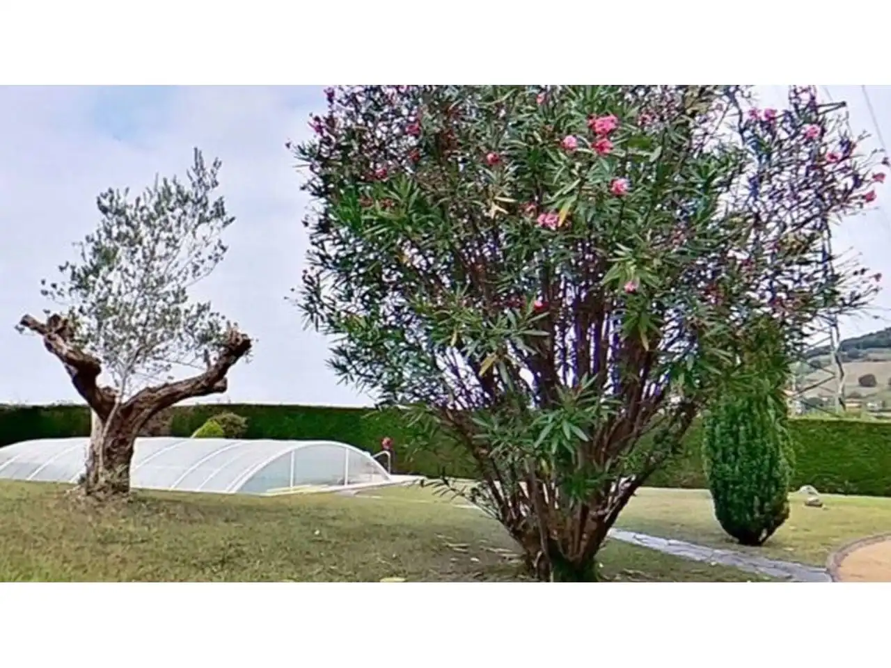 Garden of Houses for sale in Berango, Bizkaia