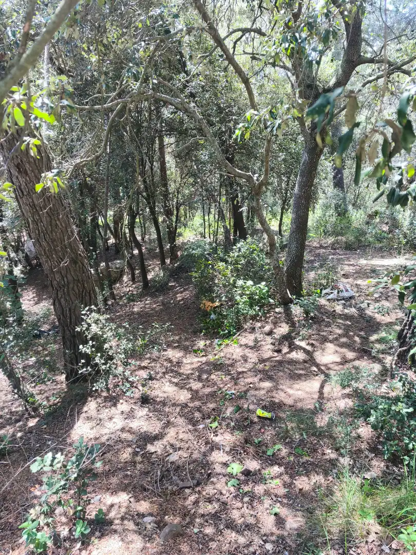 Terrain résidentiel à vendre à Carrer de la Font del Querol 19, imagen 17