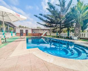 Swimming pool of Country house for sale in Motril  with Swimming Pool