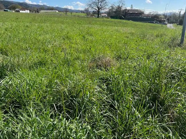 Terreno industrial en venta en Derio