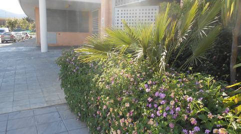 Foto 2 de Garaje de alquiler en Avenida Virgen de la Palma, 10, Bajadilla - Fuente Nueva, Algeciras